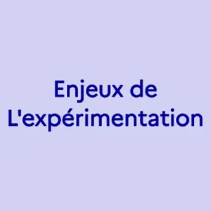Les enjeux de l'expérimentation